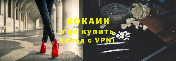 мет Алексин
