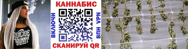где найти наркотики  Почеп  МАРИХУАНА тримм 